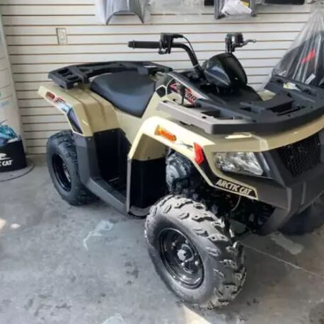 2022 Arctic Cat ALTERRA 300 1